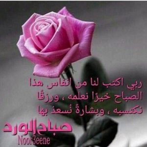 Meet your Posher, Hazem